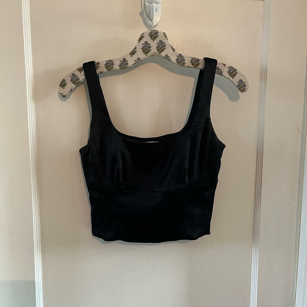 Aritzia Wilfred Shine Bustier